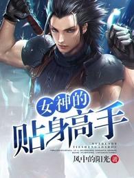 女神的贴身高手漫画