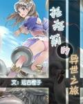 托托莉的工作室pc 托托莉的工作室pc