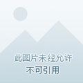 一梦长安终成灰啥意思