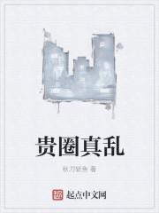 贵圈太乱下一句 贵圈太乱下一句