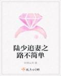 陆少追妻一百天 陆少追妻一百天