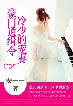 豪门焰冷少的替身情人 豪门焰冷少的替身情人