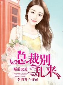 婚前试爱总裁 婚前试爱总裁