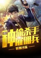 神偷杀手特种兵txt