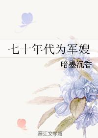 七十年代为军嫂 作者暗墨沉香