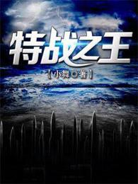特战之王免费播放
