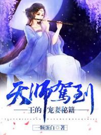 天师驾到:王的宠妻秘籍 天师驾到:王的宠妻秘籍