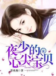 夜少的心尖宝贝 夜少的心尖宝贝
