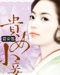 贵女小妾 贵女小妾